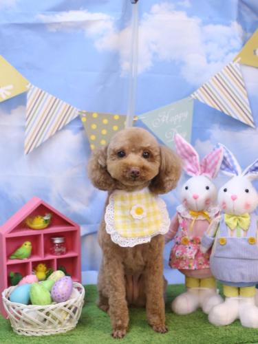 20240301モカちゃん